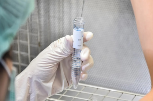 益母草月经期间可以喝吗