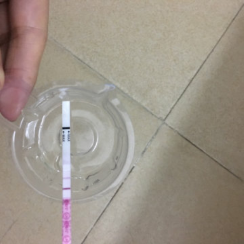 南昌怎样联系地下代孕|0k4Q8_vJ6mh_健康周刊地贫父母可孕育健康宝宝_70315_33298