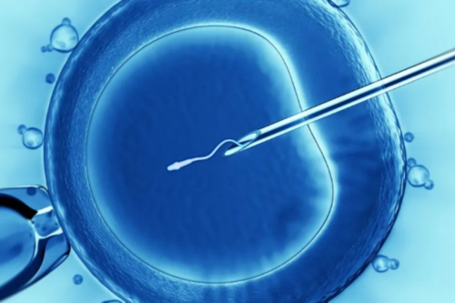 三院三代试管成功率_Aaa69吕进峰_YYV37_851U4_健康周刊地贫父母可孕育健康宝宝_