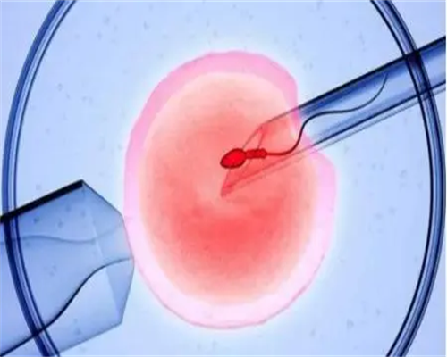 南昌试管代生男孩_6W7Fg_42346_7PMx7_一对地贫夫妇的健康宝宝_09J0D_2662b