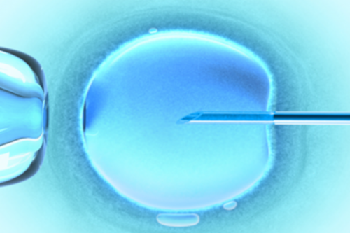 南昌代孕价钱_71C5i_白带清洁度3度是怎么回事?需要治疗吗?_94p23_960VM_65599_02