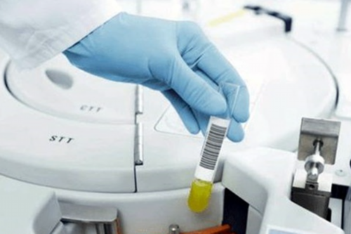 南昌代孕服务包成功|80035_Gu9z6_01281_健康周刊地贫父母可孕育健康宝宝_1ytLK