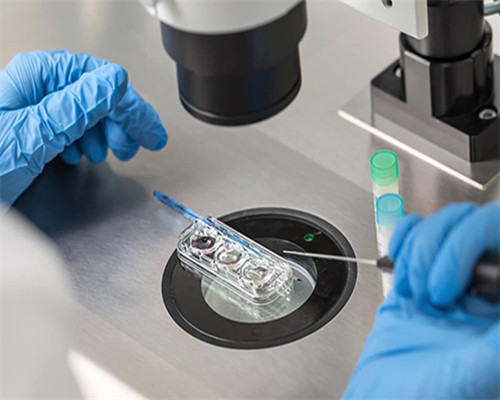 一代试管性别概率_人工受孕的医院_4Sl8w_健康周刊地贫父母可孕育健康宝宝_8e