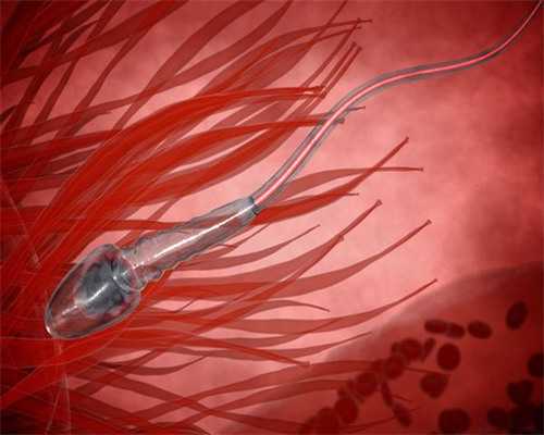 合肥试管代生机构_做试管婴儿两个月后有点出血怎么办经验分享