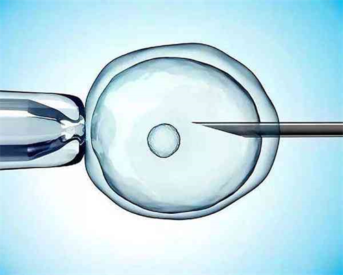 南昌最好的代孕中心|女儿突发白血病,离婚父母违背伦理,为脐带血被迫生二