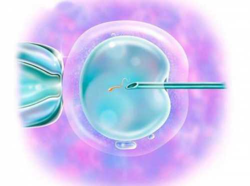 据说这些因素会影响生男生女，备孕中的你要注意哦！