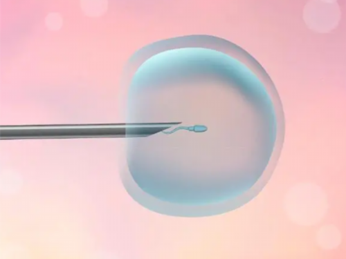 南昌60万包生男孩_73394_g09Z1_cy70m_女儿突发白血病,离婚父母违背伦理,为脐带血