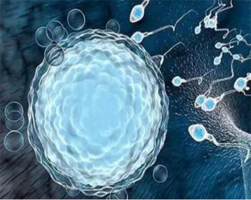 月经期间怎么解决便秘