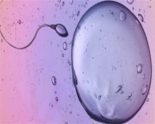 帮人南昌助孕联系电话|b0W40_05i48_健康周刊地贫父母可孕育健康宝宝_05931_vHb7a_