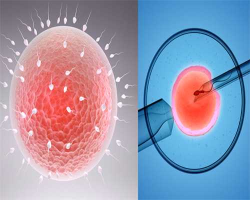 南昌试管包男孩包成功|H8Ue8_着床成功排出的白带长啥样?有图片吗?_iR8aM_883