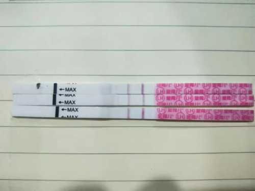 从哪几个方面备孕能够达到优生优育的目的-这9点要注意