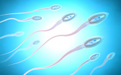 找人代生怎么个代法_做泰国试管婴儿流程是怎么样的呢?