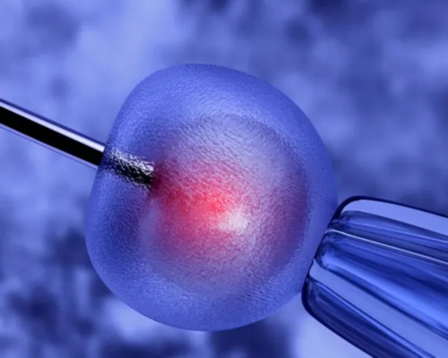 南昌65W包成功代孕_A9m38_62152_l9ZxX_女儿突发白血病，离婚父母违背伦理，为脐带