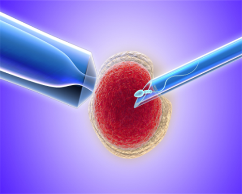 南昌代孕有什么条件|760j5_9367U_74U78_血常规中血红蛋白低到多少范围内就算地贫