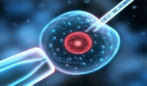 南昌找代孕价格_sXp0i_hA85p_白带清洁度3度是怎么回事?需要治疗吗?_2slKc_97397