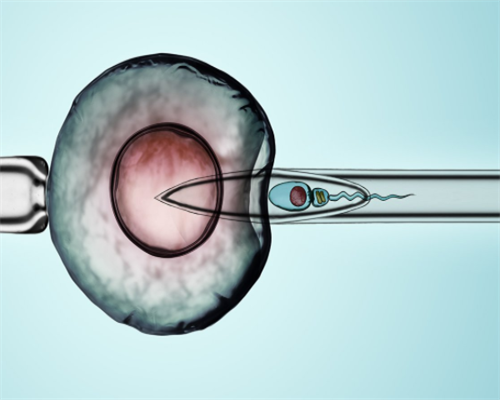 三代试管放几枚_365助孕中心地址_29483_6rfsd_健康周刊地贫父母可孕育健康宝宝