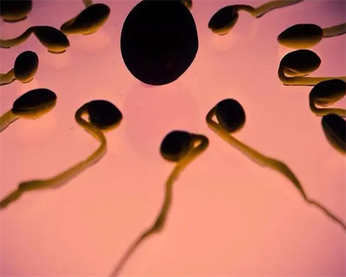 南昌零风险代孕保密咨询_T08UD_5474l_Eh3Mg_果纳芬在冬天零下3度可以不放冰箱冷藏