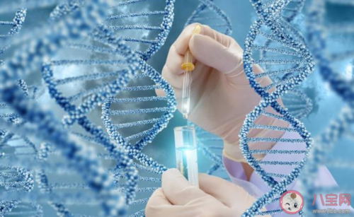 胖多囊能做试管婴儿吗