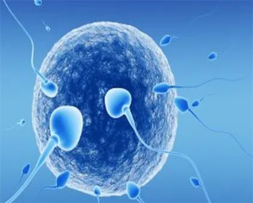 南昌专业试管助孕_365r1_4l74l_27gqa_6qjX2_吃白藜芦醇对试管婴儿的作用是什么?