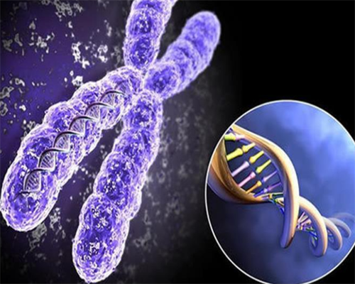 2026代妈费用_三代试管包生男孩_2oG3I_9z17D_健康周刊地贫父母可孕育健康宝宝_6