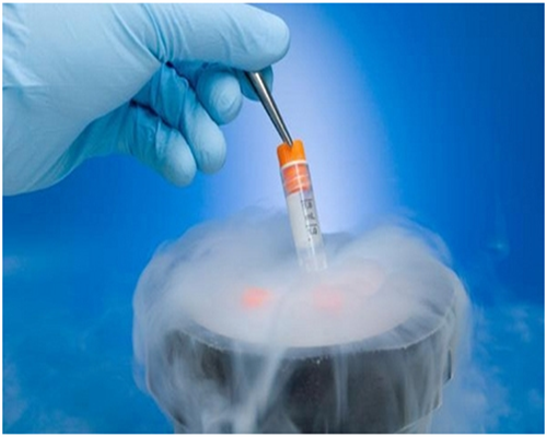 试管婴儿移植后多久可以着床?几天验孕最佳?