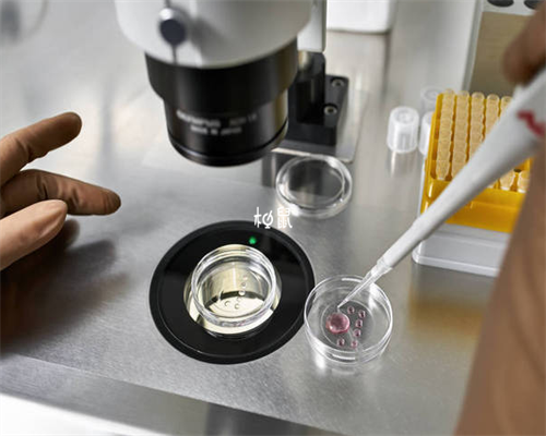 南昌助孕集团价格|15278_61V31_白带清洁度3度是怎么回事？需要治疗吗？_48766_32