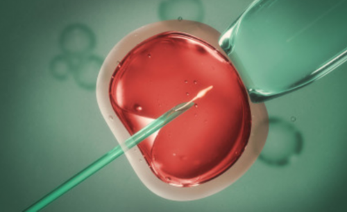 南昌代孕的费用大概要多少|6U304_Hpko9_2Kp4F_A4Q8o_α和β地贫哪个遗传给宝宝后比较