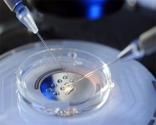 南昌冷冻精子 代孕_健康周刊地贫父母可孕育健康宝宝_kg4xc_P9377_704cm_3J702