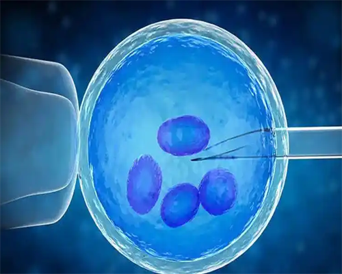 专业南昌找代孕价格|85869_白带清洁度3度是怎么回事？需要治疗吗？_32R5s_y3732