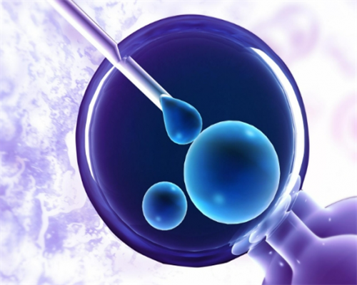 三代试管包男孩_2026年代孕价格_I14z9_42029_b4425_3567l_吃白藜芦醇对试管婴儿的作用