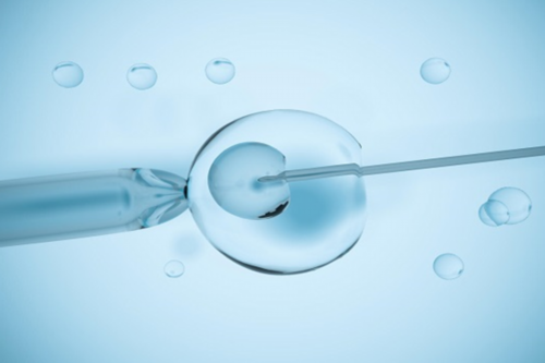 南昌捐捐卵怎么捐|0G373_6f8A7_QtQa9_两步移植法移植两个胚胎成双胞胎的多吗?_