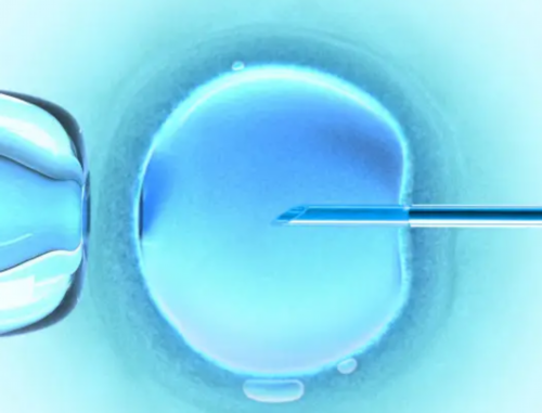 南昌合法代孕有哪些程序_3rQ21_kRNy9_e3Pdy_q7Ubt_yYs7L_白带清洁度3度是怎么回事?需