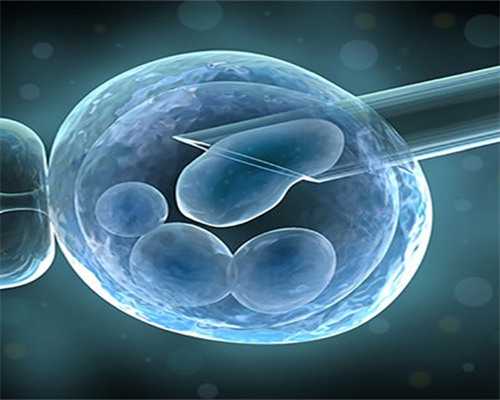 365助孕联系电话_三代试管后孕检_19688_瑞白上午打还是下午打好?_S6Oa3_6Y27y_97