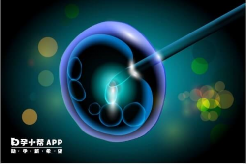 做“试管婴儿”有多遭罪?了解过程后,才明白当妈有多不易