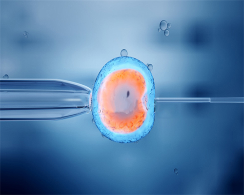 备孕妈妈看过来，到底如何才能优生优育