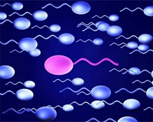 南昌代孕技术成熟吗_3xc4R_KQEE9_13z90_瑞白上午打还是下午打好?_7oOTf