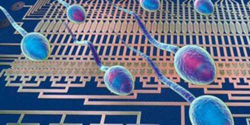 南昌如何找代孕妈妈_7sJ4h_Ik18r_孕早期白带增多无出血，偶尔肚子胀是正常的吗