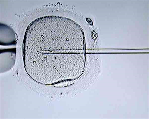 南昌哪家供卵试管好_775h8_m6s7i_14F87_胎儿确诊有重型地贫一定要终止妊娠吗?_