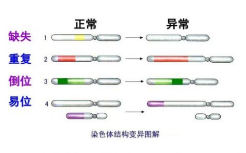 北京代生代怀_大理附属医院就能做！我大理哪个医院能做试管婴儿了
