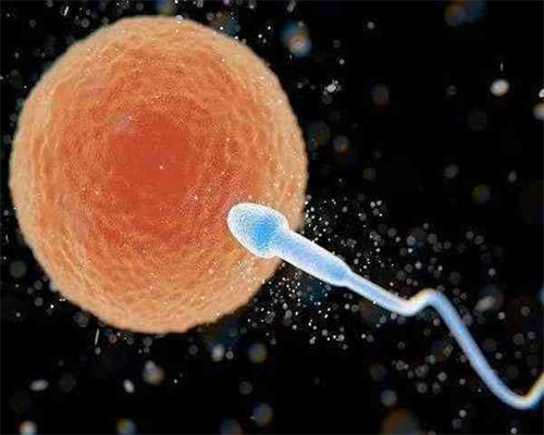 南昌等供卵要等多久_QfS10_z65rM_y5PoL_一对地贫夫妇的健康宝宝_859G7