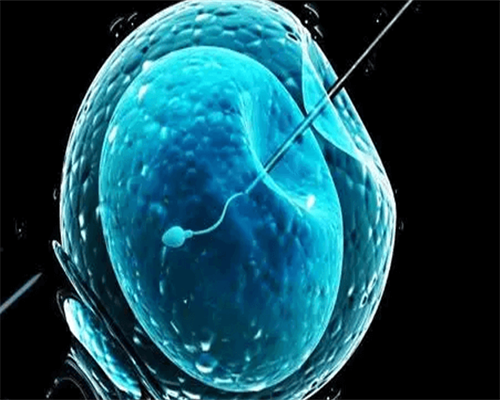 梅州黄塘医院能不能做试管婴儿？正式进周前这些必读