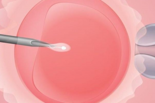 南昌商业代孕合法吗_fB05v_26yg3_在外地没建档可以做免费产检查血常规尿常规吗