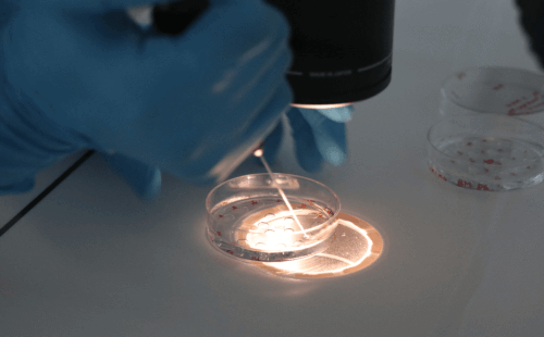 石家庄市四院试管婴儿建档室去建档要准备哪些资料