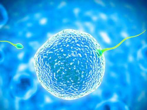 代怀专业吗_代怀一个小孩多少钱_u5805_543n6_24岁备孕期间可以吃乌鸡白凤丸补气