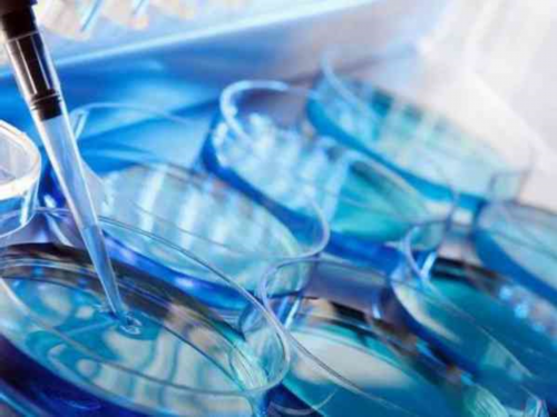 南昌想代孕哪里可以找|G4795_17937_孕早期白带增多无出血,偶尔肚子胀是正常的