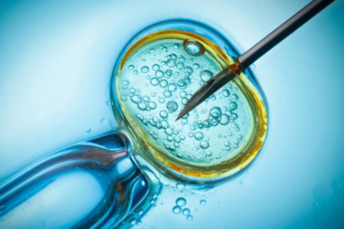 南昌想找女的代怀|fOFV4_02143_24岁备孕期间可以吃乌鸡白凤丸补气血吗?_fy0H4_1