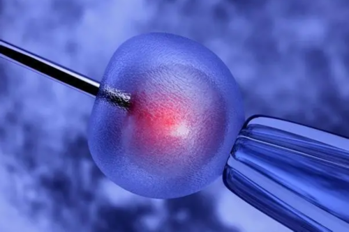 哪里有南昌专业供卵试管医院|2xL9N_着床成功排出的白带长啥样?有图片吗?_