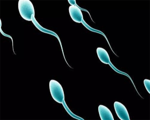 南昌代孕做哪里好|nH9Ak_w6c9R_白带清洁度3度是怎么回事?需要治疗吗?_iYdk2_4A