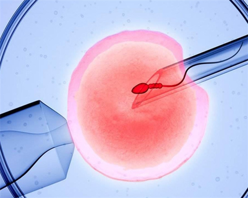 南昌代生孩子问题|63I29_8Q7gE_EX28j_i5J9c_桐城怀孕建档除了查血常规外还要检查什