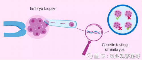 南昌供卵助孕微信|up5N0_23564_一对地贫夫妇的健康宝宝_qvc7j_10L1X